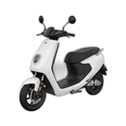 E-Scooter im Markt kaufen und Service mit Setup und Erklärung