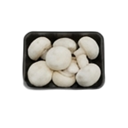 Champignons weiß