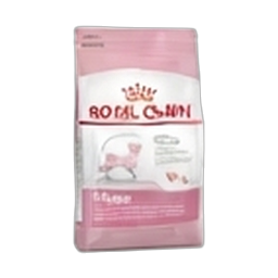 Royal Canin Kitten Yavru Kedi Maması