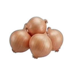 SOĞAN