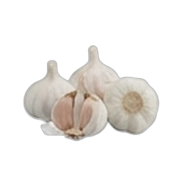 SARIMSAK