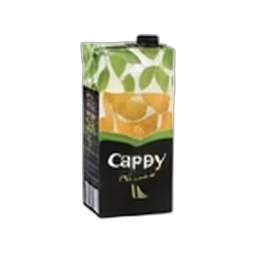 Cappy Tetra Nektar / İçecek Çeşitleri 1 L
