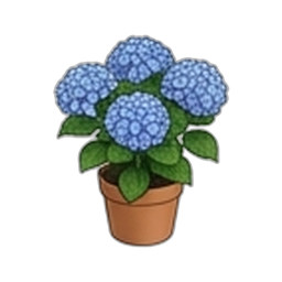 Hortensie oder Christusdorn