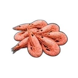 Crevette Rosé
